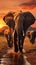 Elephants in Amboseli National Park, Africa, crossing Olifant River at dusk