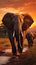 Elephants in Amboseli National Park, Africa, crossing Olifant River at dusk