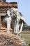 Elephants of Ancient Siam Temple