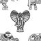 Elephants background