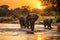 Elephants in Chobe National Park, Botswana, Africa, elephants crossing Olifant river,evening shot,Kruger national park, AI
