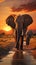 Elephants crossing Olifant River, evening shot, Amboseli National Park, Kenya