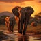 Elephants crossing Olifant River, evening shot, Amboseli National Park, Kenya