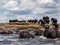 Elephants crossing river Chobe