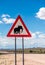 Elephants crossing road warning sign, Damaraland, Namibia