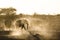 Elephants enjoying dusk at Okaukeujo waterhole