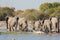 Elephants in Etosha