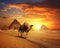 Elephants with the grandeur of Egyptian pyramids are a captivating fusion of nature.