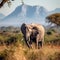 Elephants Grazing in Savanna with Distant Mountains