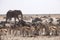 Elephants and herds of zebra and antelope wait through the midday heat at the waterhole Etosha, Namibia