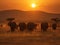 Elephants\\\' Journey: A Family Trek across the African Plains