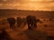 Elephants\\\' Journey: A Family Trek across the African Plains