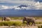 Elephants on Kilimajaro mount background.