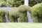 Elephants made â€‹â€‹with the plants