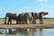 Elephants from Nxai pan in Botswana