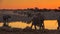 Elephants at Okaukuejo Waterhole, Etosha, Namibia