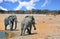 Elephants on the plains next to a waterhole in Etosha with a blue cloudy sky