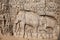 Elephants rock in Mamallapuram