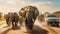 elephants running between cars