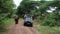 Elephants and safari vehicle, Lake Manyara