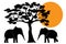 Elephants silhouettes in Africa, vector