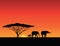 Elephants silhouettes, sunset