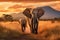 Elephants at sunset in Serengeti National Park, Tanzania, Elephants walking by the grass in savannah. Beautiful animals at the