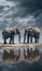 Elephants at a waterhole in Chobe National Park, Botswana, Africa