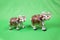 Elephants white ceramic, decorated with rhinestones, bright colors on a light green background