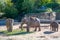 Elephants in a zoo outdoors, Cologne town