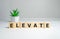 Elevate word written on wood block. Business concept