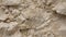 Elevate Your Imagination: Fossilized Limestone Elegance. AI generate