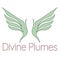 Elevate Your Space with the Timeless Allure of Divine Plumes