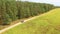 Elevated Aerial View Of Blue Car Vehicle Automobile In Fast Drive Motion On Countryside Country Road Through Summer Corn