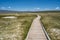 Elevated boardwalk leading to Wild Willys Hot Springs in Mammoth Lakes California