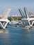 Elevated Bridge in Ft. Lauderdale