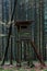 Elevated hunting blind with ladder in spruce forest at fall