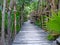 Elevated Jungle Footpath