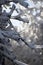 Elevated perspective of a large forest and deciduous trees that are covered in a thick layer of snow and ice