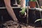 Elevated Raised Vegetable Garden Bed