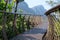 Elevated tree canopy walkway at Kirstenbosch Botanical Gardens, Cape Town, South Africa.