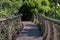 Elevated tree canopy walkway at Kirstenbosch Botanical Gardens, Cape Town, South Africa.