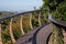 Elevated tree canopy walkway at Kirstenbosch Botanical Gardens, Cape Town, South Africa.