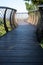 Elevated tree canopy walkway at Kirstenbosch Botanical Gardens, Cape Town, South Africa.