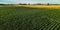 Elevated View of Farm Landscape