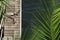 Elevated view of iguana resting under sun by riverside in Florid