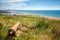 Elevated view looking towards Isle of Portland and Chesil Beach