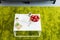 elevated view of table with laptop, coffee cups, apples in bowl, books, eyeglasses and plant