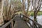 Elevated Walkway at Herdsman Lake