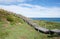 Elevated Walkway at Penguin Island